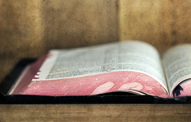 bible-scripture- tells-us-to-prepare-for-survival