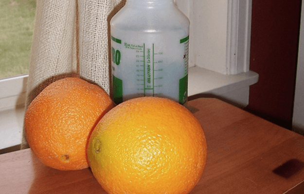 homesteading-projects-All-Purpose-Citrus-Cleaner